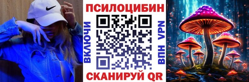 ОМГ ОМГ ТОР  Болотное  Псилоцибиновые грибы мицелий 